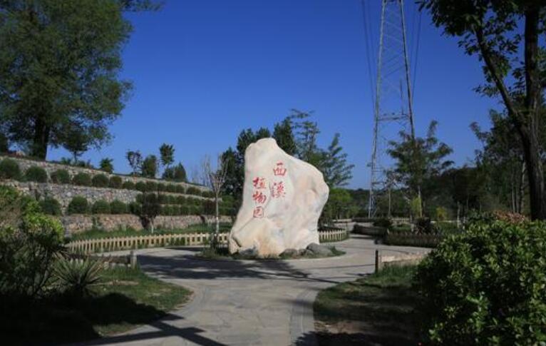  王莽嶺雨后現(xiàn)云海奇觀